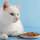 Гіпоалергенний корм для котів