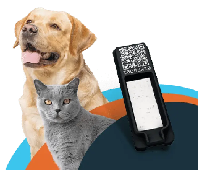 banner-16.png